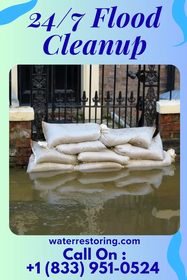24/7 Flood Cleanup in Waggoner, IL
