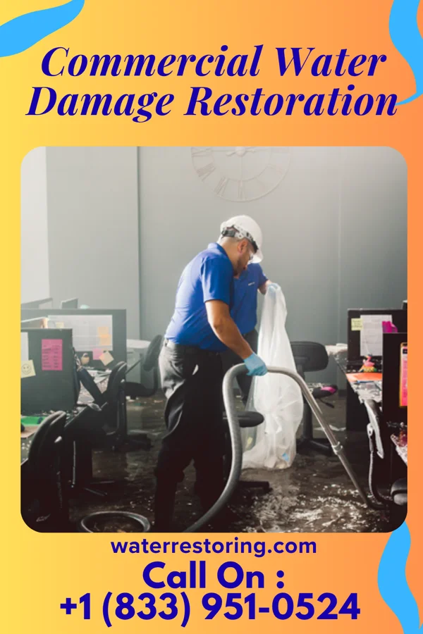 Commercial Water Damage Restoration in Waggoner, IL