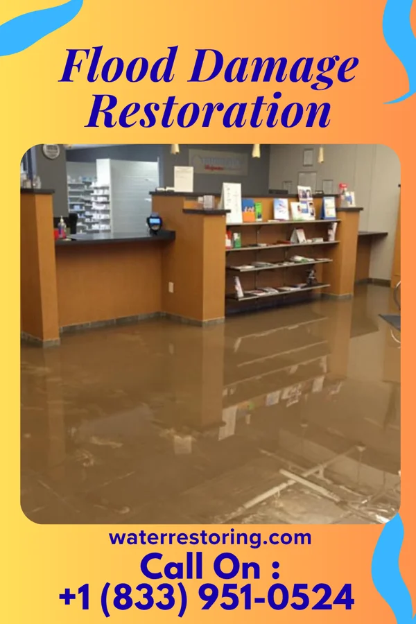 Flood Damage Restoration in Waggoner, IL
